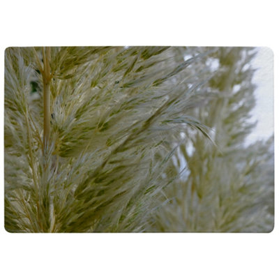 Benjamin Tate Design Autumn Pampas Grass Close Up Designer Special Soft Home Rug from B&Q
