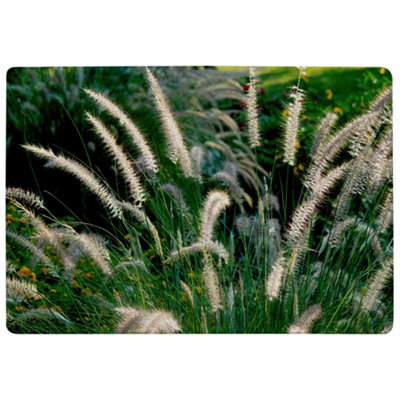 Benjamin Tate Design Decorative Cat Tail Grass Growing Along A Walkway Designer Special Soft Home Rug from B&Q