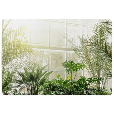 Benjamin Tate Design Green Plants In Botanical Gardens Designer Special Soft Home Rug from B&Q