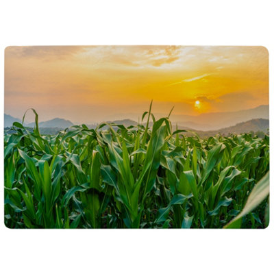 Benjamin Tate Design Green Corn Field In Agricultural Garden And Light Shines Sunset Designer Special Soft Home Rug from B&Q