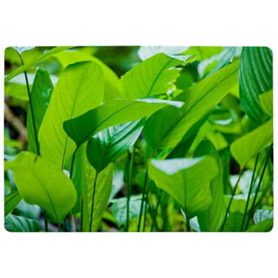 Benjamin Tate Design Green Leaf Background Abstract Of Nature Designer Special Soft Home Rug from B&Q
