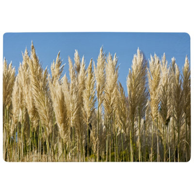Benjamin Tate Design Pampus Grass Designer Special Soft Home Rug from B&Q