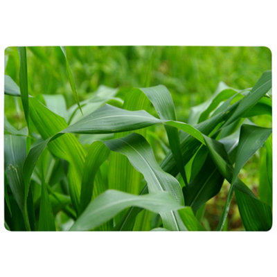 Benjamin Tate Design Green Leaves Corn Fields As Background Designer Special Soft Home Rug from B&Q