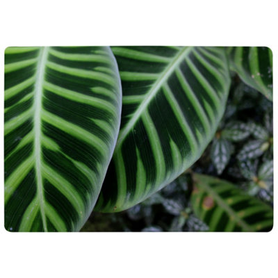 Benjamin Tate Design Yellow Structure In Exotic Jungle Setting Designer Special Soft Home Rug from B&Q