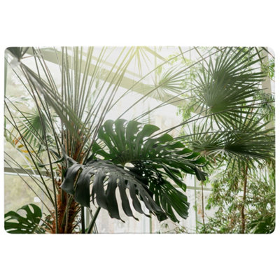 Benjamin Tate Design Green Plants In Botanical Garde Designer Special Soft Home Rug from B&Q