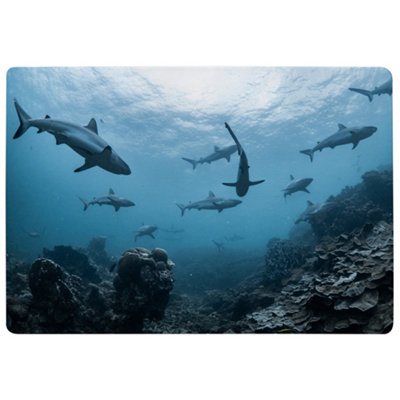 Benjamin Tate Design Schooling Grey Reef SharksNingaloo ReefWestern Australia Designer Special Soft Home Rug from B&Q