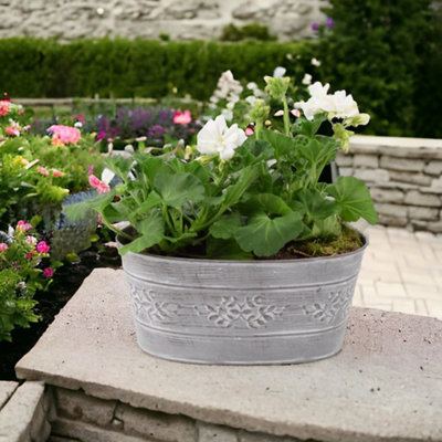 White Geranium In Leafy Vine Metal Trough Ready Planted Garden Plant from B&Q