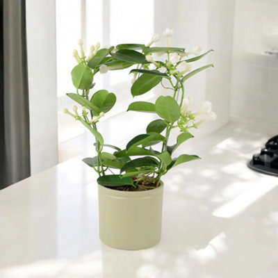 Ceramic French Green Plant Pot  Decorative Indoor & Outdoor Planter from B&Q
