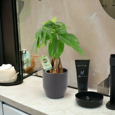  - Ceramic Ewi Dot Anthracite Plant Pot Textured Decorative Indoor & Outdoor Planter