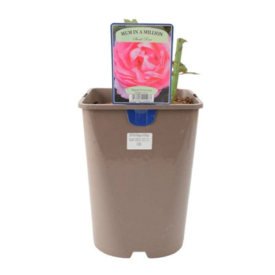 Metal Teal Vertical Line Planter  Decorative Indoor & Outdoor Plant Pot from B&Q