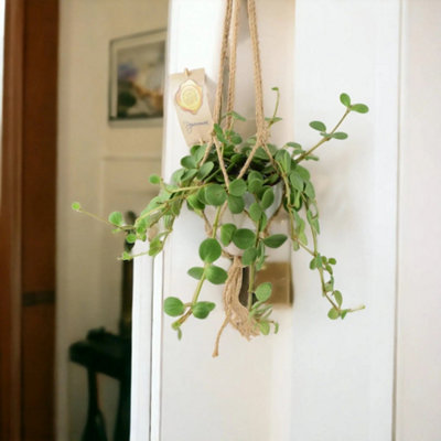 Hanging Ceramic White Macramé Planter Boho Indoor Plant Pot With Rope Hanger from B&Q