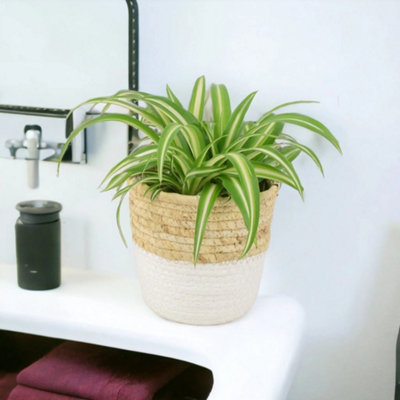Hanging Ceramic White Macramé Planter  Boho Indoor Hanging Plant Pot from B&Q