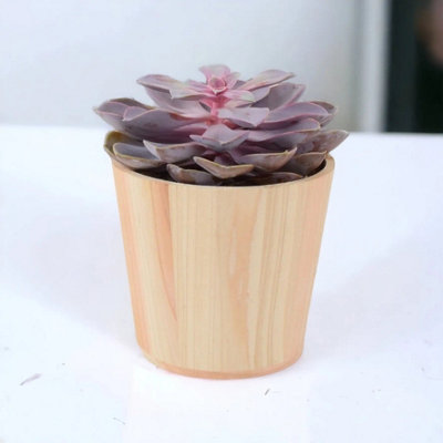 Wooden Eco Plant Pot Cover  Fits 11 12.5Cm Diameter Nursery Pots from B&Q