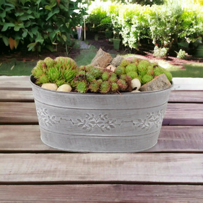 Sempervivum Leafy Vine Trough Planter Hardy Succulent In Decorative Metal Trough Garden Plant from B&Q