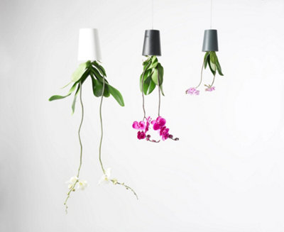 Boskke Sky Planter Recycled Hanging Planter For Indoor Plants Garden Plant from B&Q