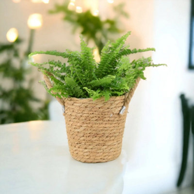Seagrass Basket With Handles Natural Woven Indoor Planter & Storage Basket from B&Q