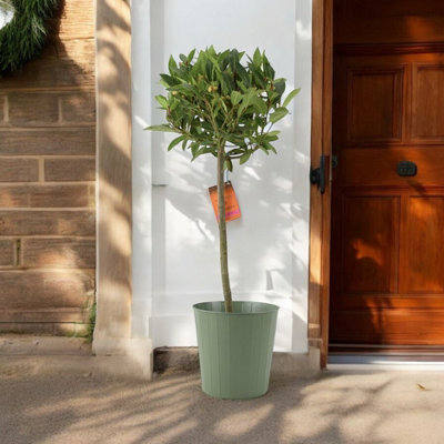 Metal Green Vertical Line Planter  Decorative Indoor & Outdoor Plant Pot from B&Q