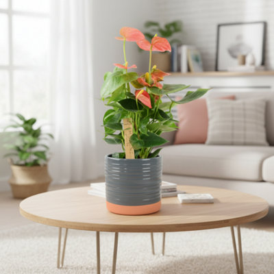  - Ceramic Eve Grey Plant Pot  Elegant Decorative Indoor & Outdoor Planter