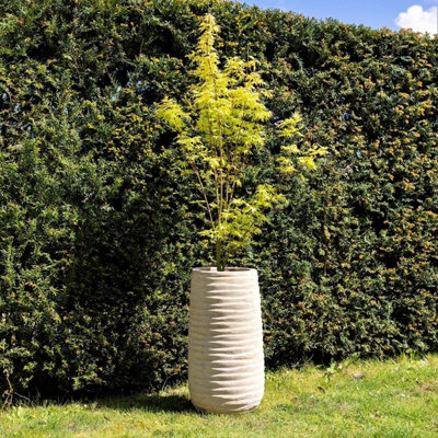 Primrose Tall Round Ribbed Terracotta Planter In Cream 80Cm from B&Q