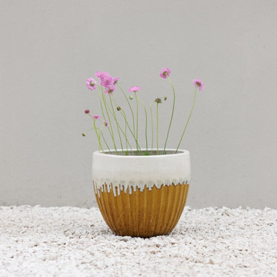 Primrose Ribbed Textured Glazed Round Patio Planter In Two Tone Yellow 30Cm from B&Q