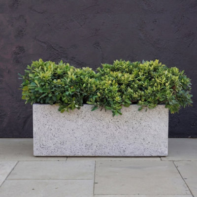 Primrose Zinc Trough Planter In White Stone Finish 75Cm from B&Q