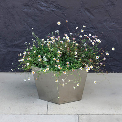 Primrose Stainless Steel Hexagon Metal Outdoor Garden Silver Pot Planter 40Cm from B&Q
