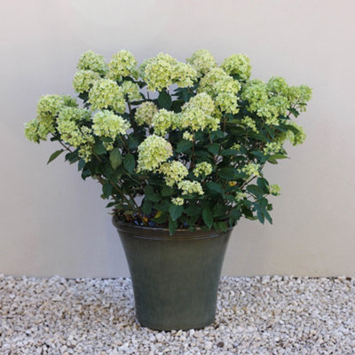 Primrose Glazed Green Ceramic Look Tapered Outdoor Garden Planter 45.5Cm from B&Q