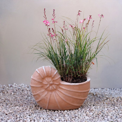 Primrose Terracotta Siena Nautilus Ammonites Shell Fossil Themed Planter 23Cm from B&Q