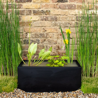 Primrose Complete Pond In A Pot Kit With Zinc Trough Planter In Black 24Cm from B&Q