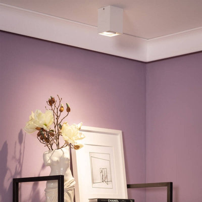 Edit Jasper Flush Ceiling Spotlight White from B&Q