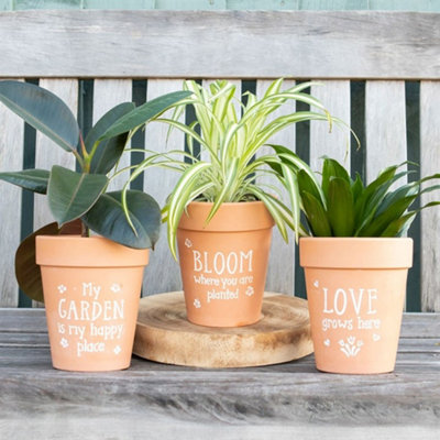  - Bloom Where You Are Planted Terracotta Plant Pot