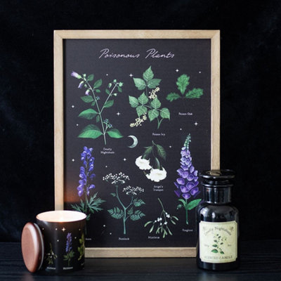  - Poisonous Plants Framed Wall Art Print