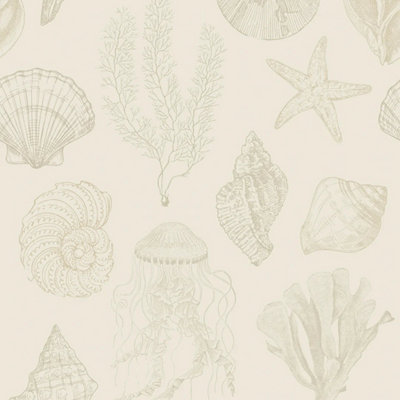 I Love Wallpaper Summer Seashells Wallpaper In Neutrals from B&Q