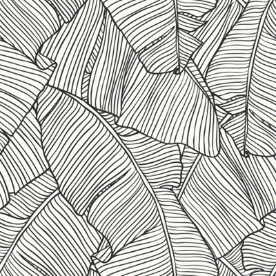 I Love Wallpaper Banana Leaf Wallpaper In Mono from B&Q