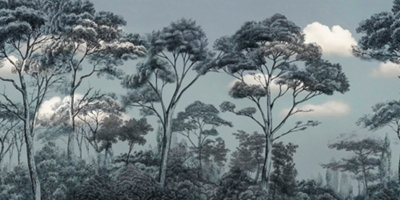 As Creation Skye 2 Digital Mural 500Cm X 250Cm from B&Q