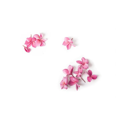 B&Q -  Pink Frangipani Flowers Glass Chopping Board