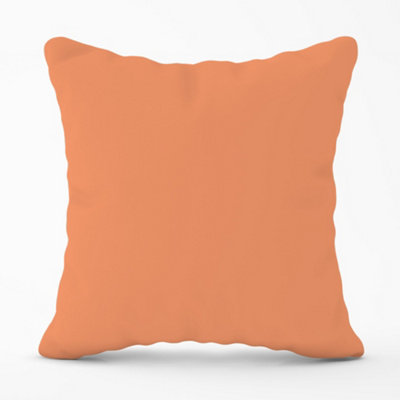Warren Reed Designer Faded Orange Cushions 60Cm X 60Cm from B&Q