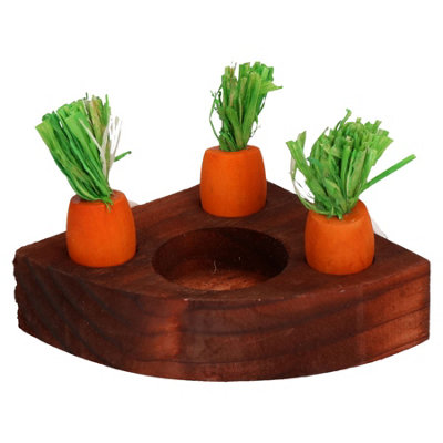 AB Tools Small Animals Hamster Activity Toys Carrot Toy 'n' Treat Holder from B&Q