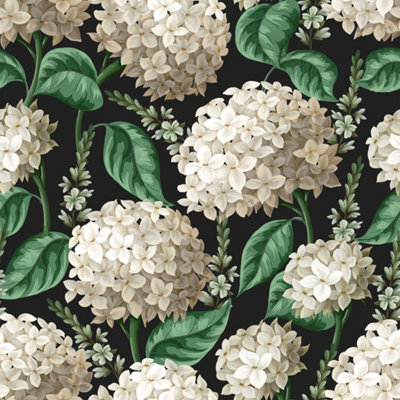 Bobbi Beck Eco Friendly Black Hydrangea Wallpaper from B&Q