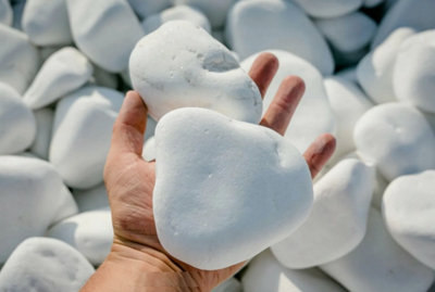 B2C Decorative Marble Extra White Stones / Pebbles Home & Garden Aquarium Large 10Kg from B&Q