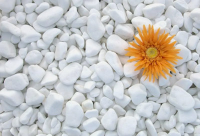 B2C Decorative Marble Extra White Stones / Pebbles Home & Garden Aquarium 1-3Cm 10Kg from B&Q