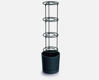 B2C Home Grower Pot Tomato Growing Support Garden Indoor Outdoor Lid Anthracite W39Cm X H37.5Cm from B&Q