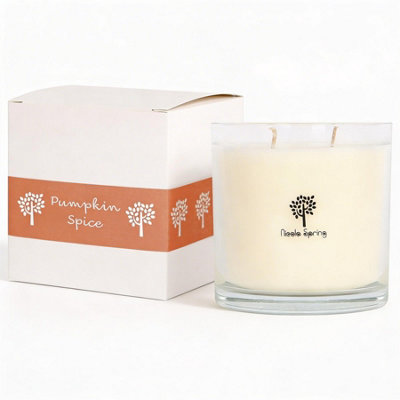 Nicola Spring Pumpkin Spice Scented Candle400G 28H Natural Single Wick Soy Wax Aromatherapy Candle Home Fragrance from B&Q