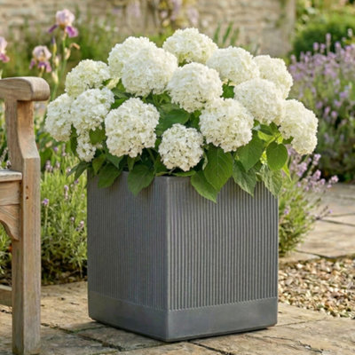 Dibor X-Large Slate Grey Ribbed Finish Fibre Clay Indoor Outdoor Garden Plant Pots Houseplant Flower Planter H44 X W44Cm from B&Q