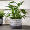 Found it product image.