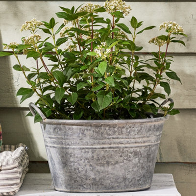 Dibor Vintage Grey Galvanised Trough Bucket Flower Pot With Handles Embossed Indoor Outdoor Garden Planter H23 X W35.5 X D25Cm from B&Q