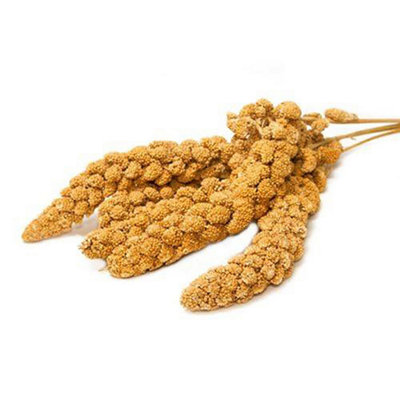 Countrywide Yellow Millet Sprays For Birds 15Kg from B&Q