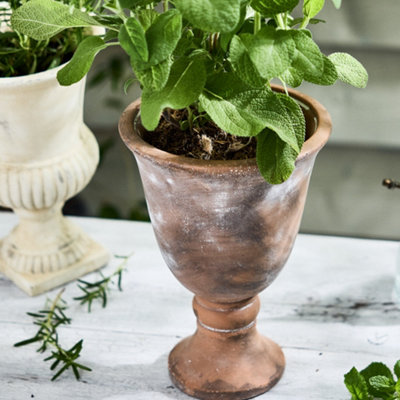 Dibor Large Rustic Urn Indoor Flower Pot Outdoor Garden Planter (Dia) 25Cm(H)18Cm from B&Q
