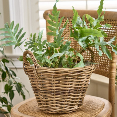 Dibor Traditional Lined Small Wicker Planter Basket With Handles from B&Q