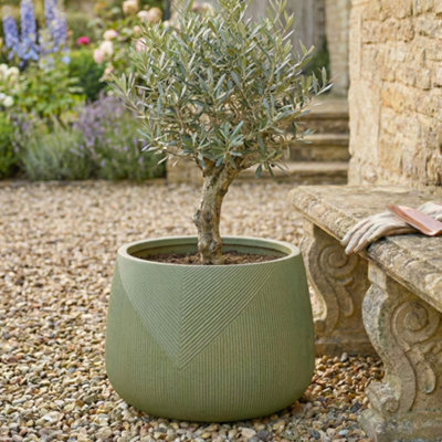 Dibor Green Medium Fibreclay Symmetry Stripe Summer Outdoor Planter Plant Pot H29 X Dia42Cm from B&Q